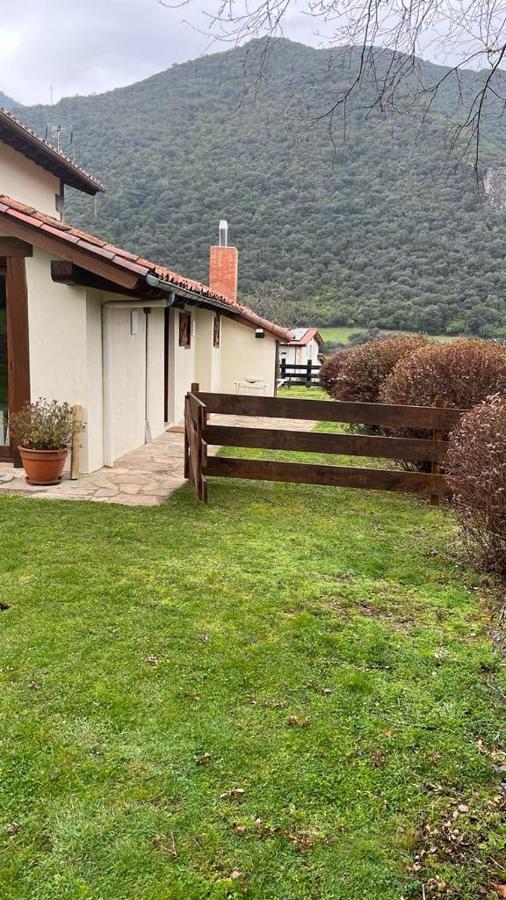 Excepcional Apartamento El Olivo Ojedo Eksteriør billede