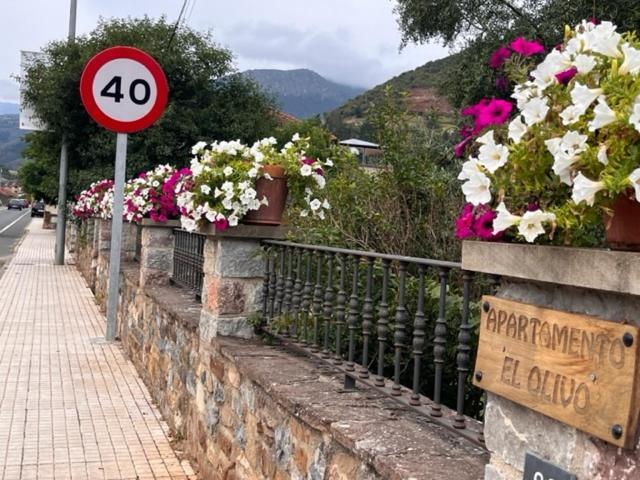 Excepcional Apartamento El Olivo Ojedo Eksteriør billede